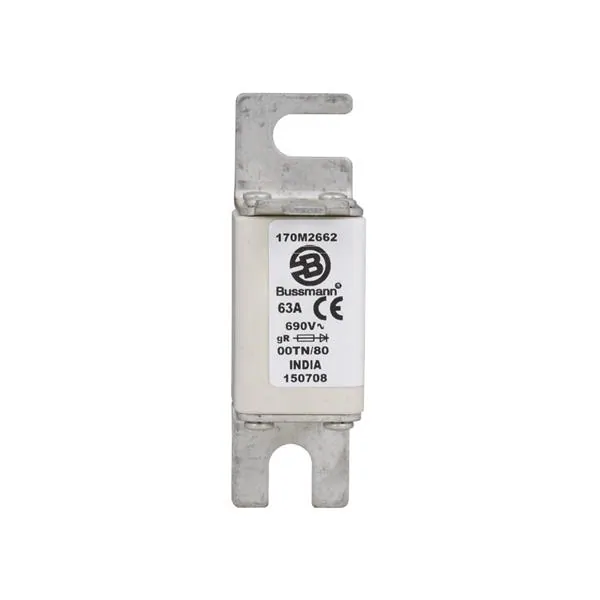 Bussmann / Eaton - 170M2662 - Specialty Fuses