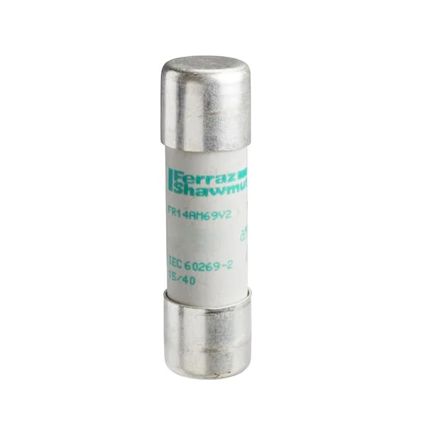 Schneider Electric - DF2EA16 - Ceramic Fuse